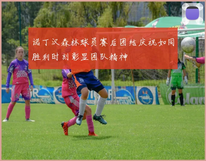 诺丁汉森林球员赛后团结庆祝如同胜利时刻彰显团队精神